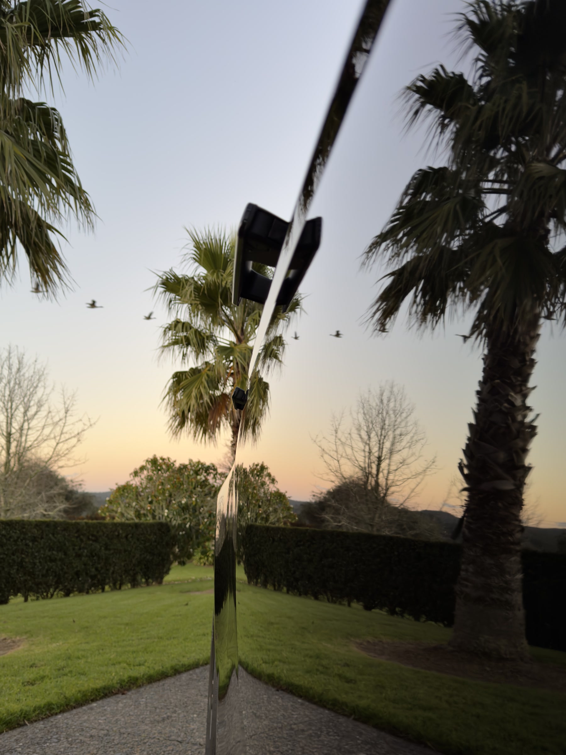 Black paint reflecting a lawn, hedge and evening sky.